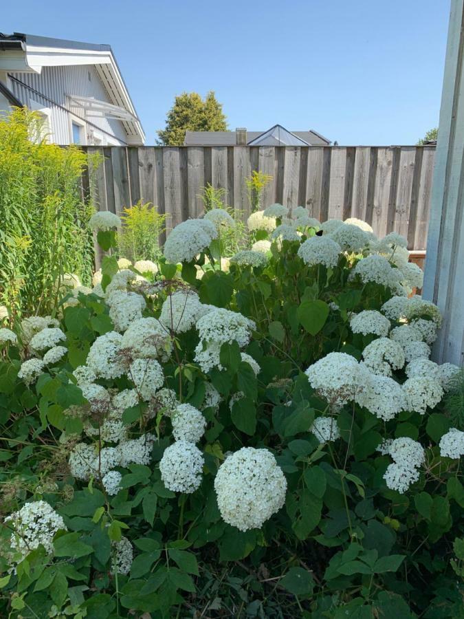 Private House Parking Garden Sea Nature マルメ エクステリア 写真
